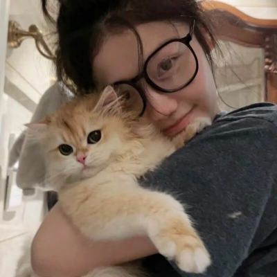 蜡笔小新：呼风唤雨！金矛之勇者国语